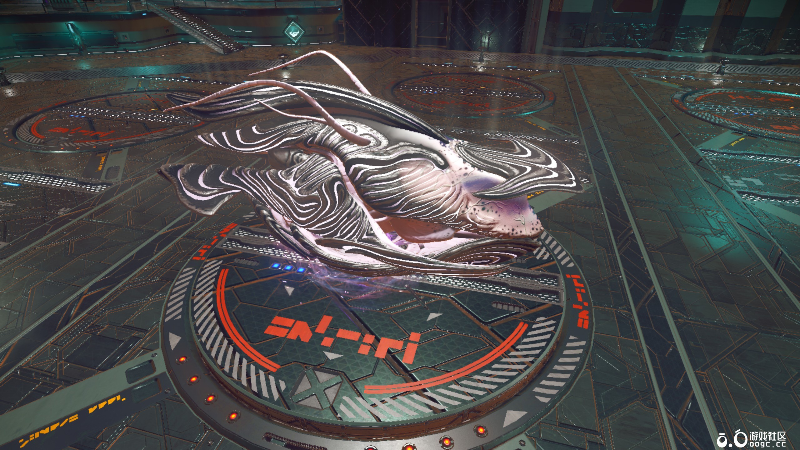 几个生物飞船-1