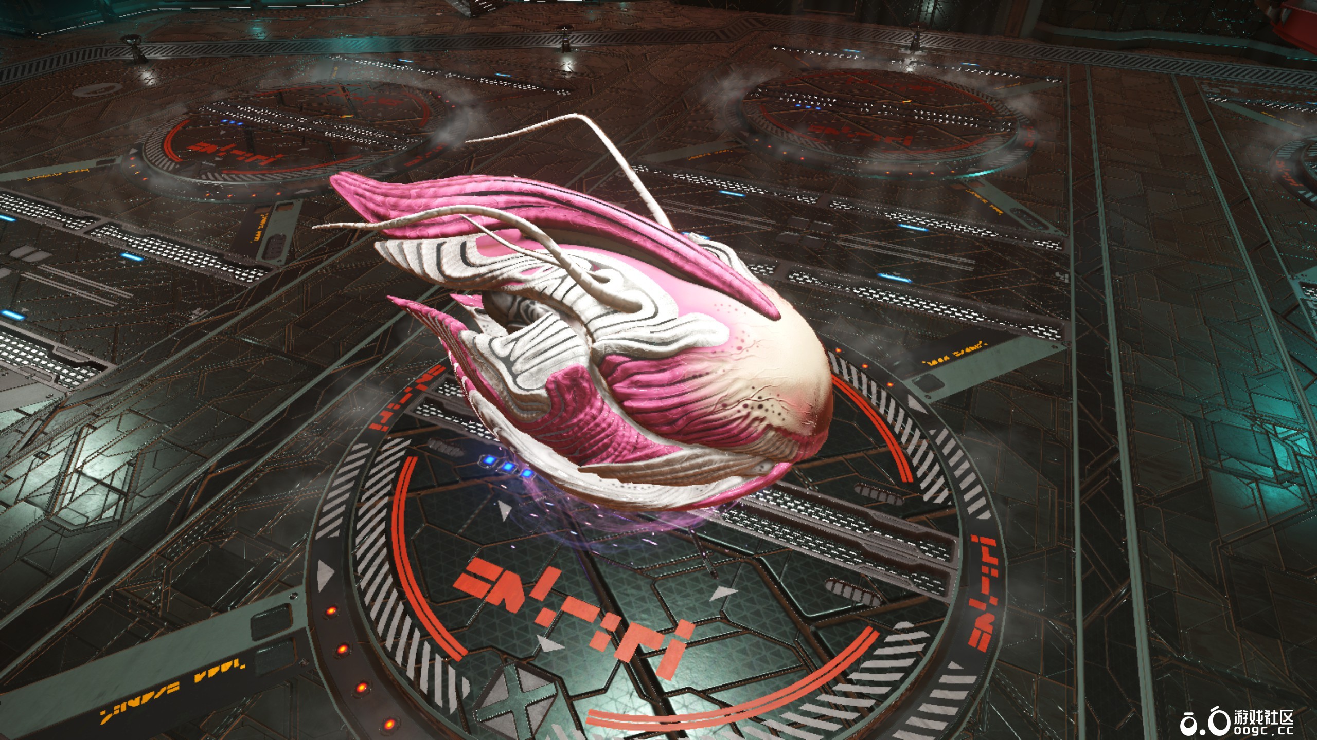 几个生物飞船-5