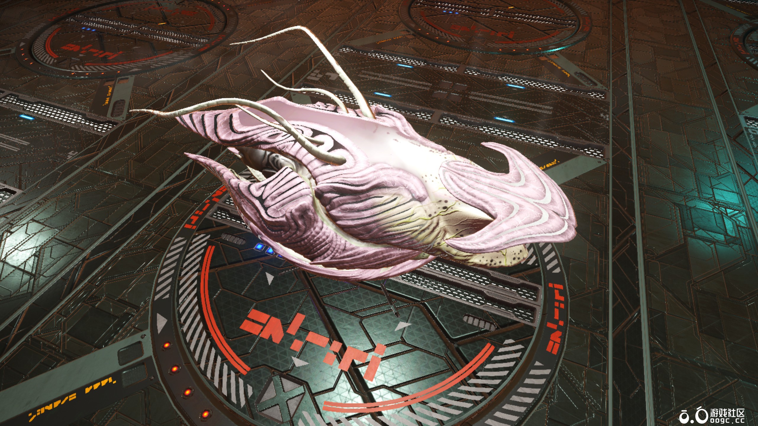 几个生物飞船-4