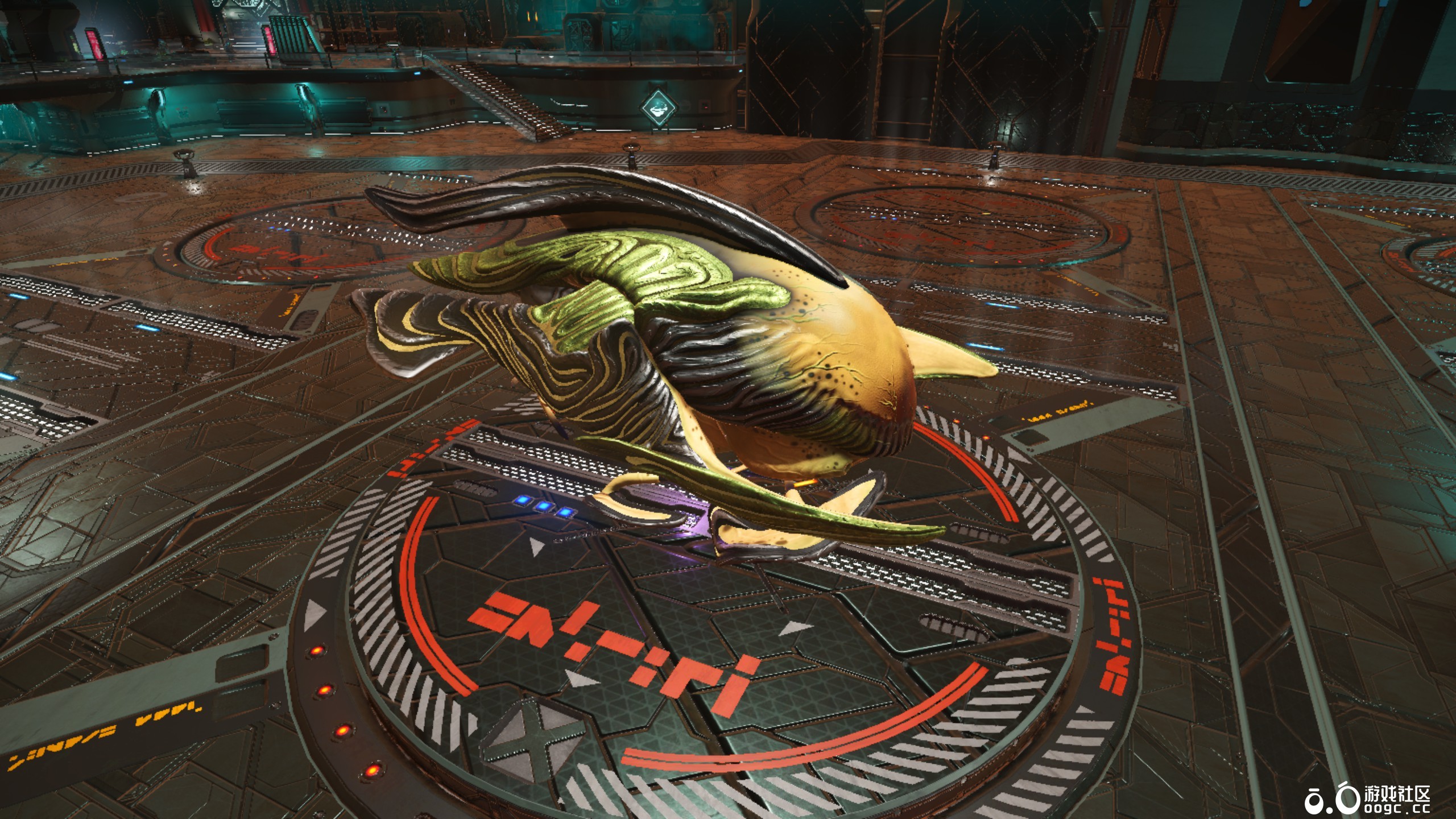 几个生物飞船-10