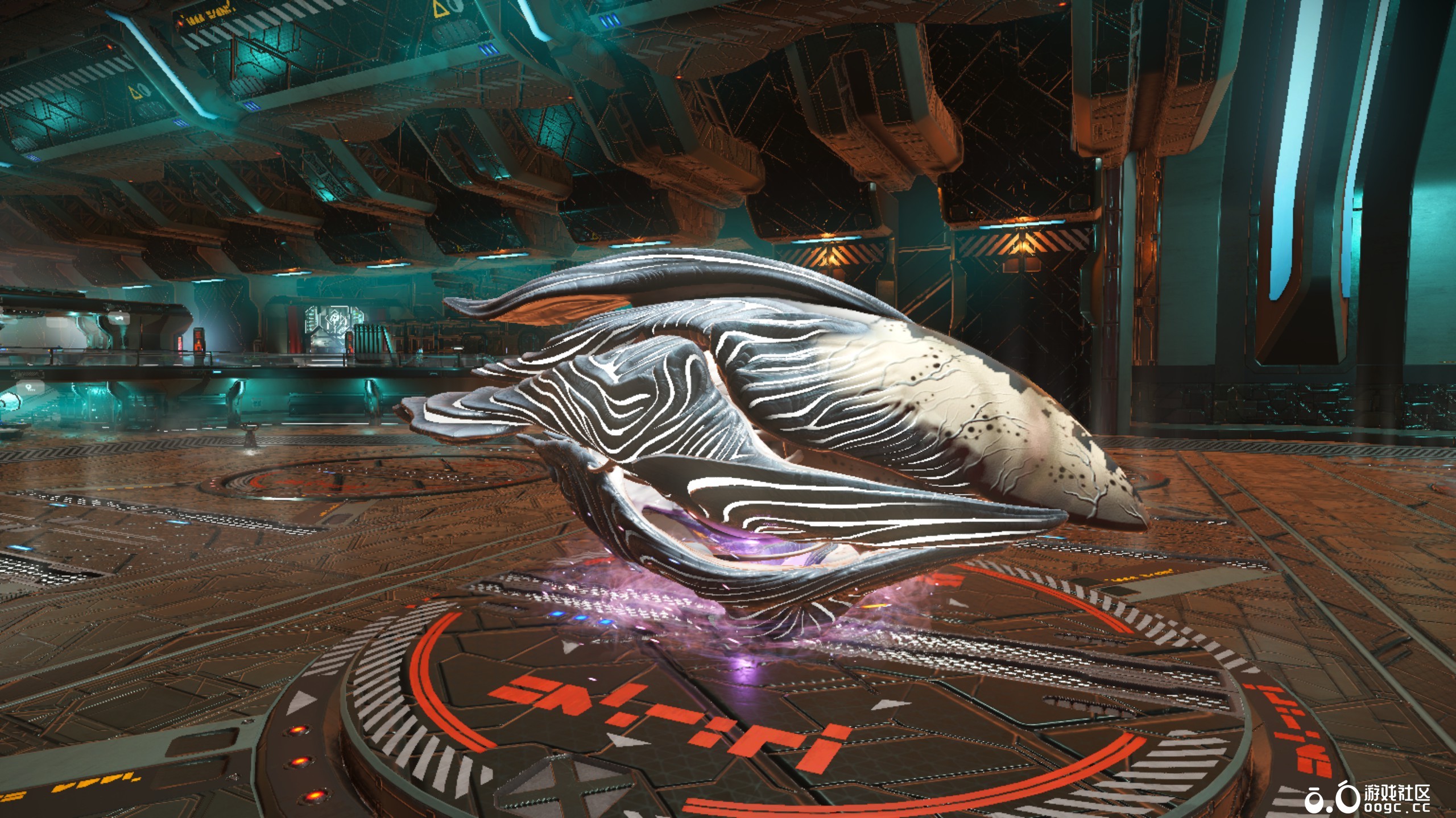 几个生物飞船-17