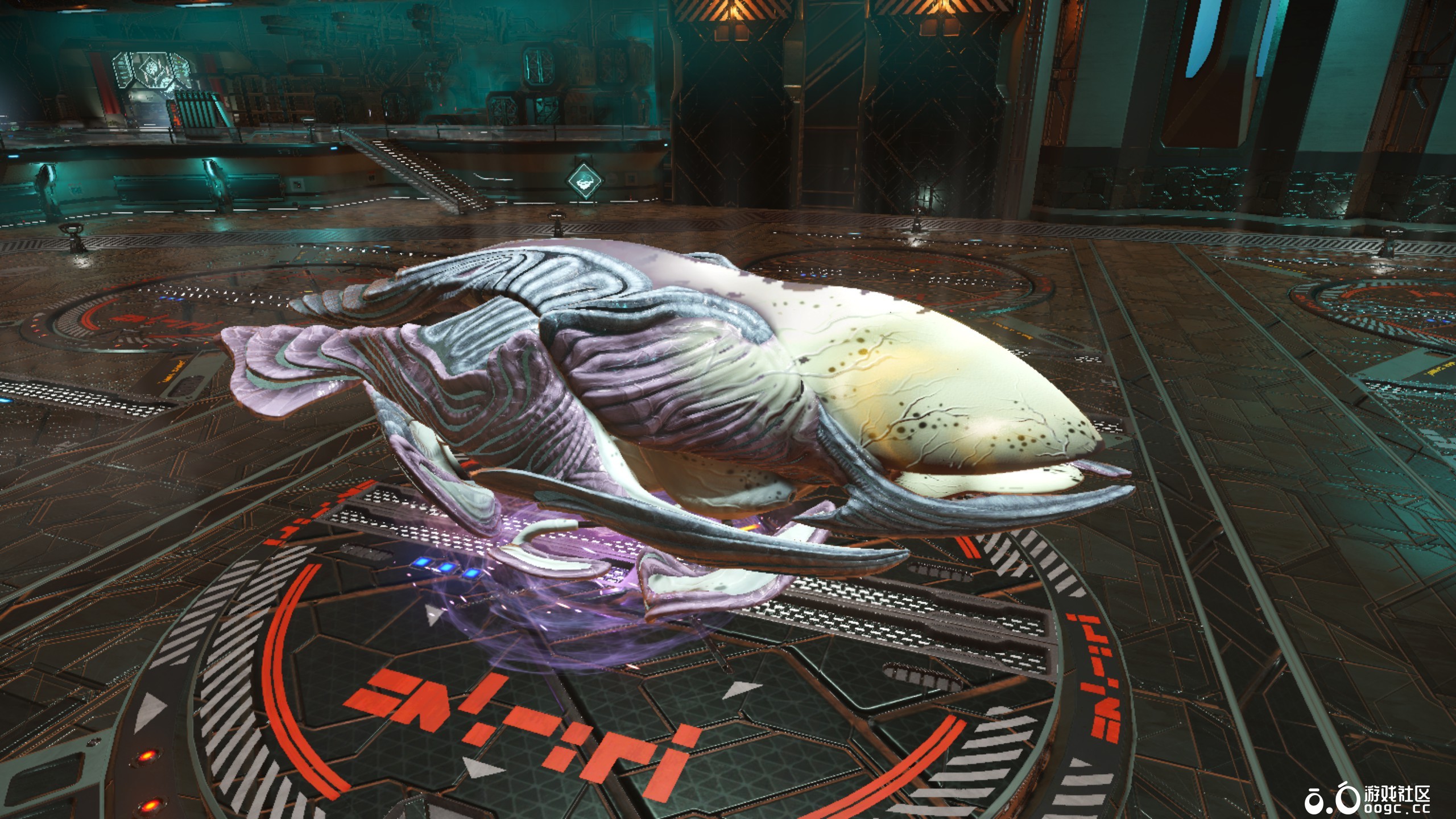 几个生物飞船-12