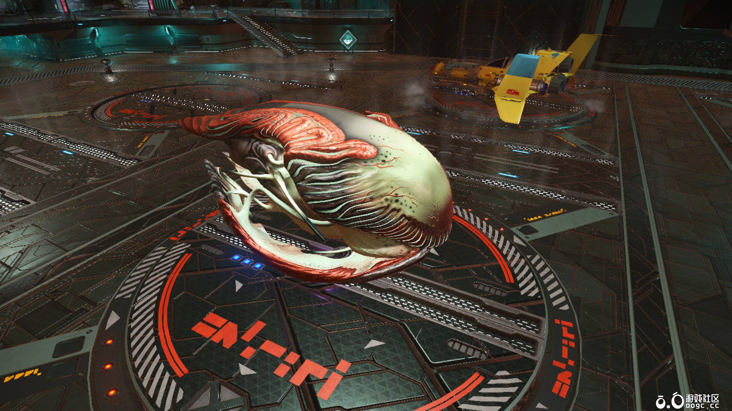 几个生物飞船-8