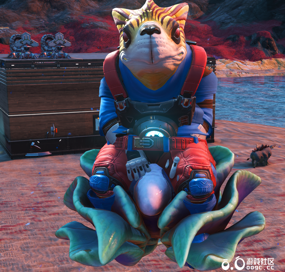 宠物-飞行-鲍鱼海星（坐上去就会变大）-3