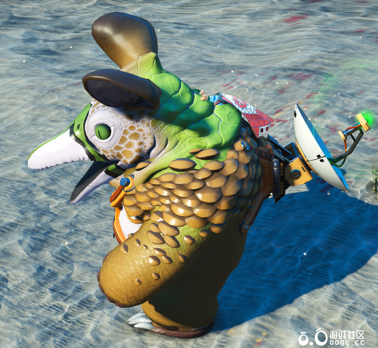 宠物-直立行走-鸟头熊身-2