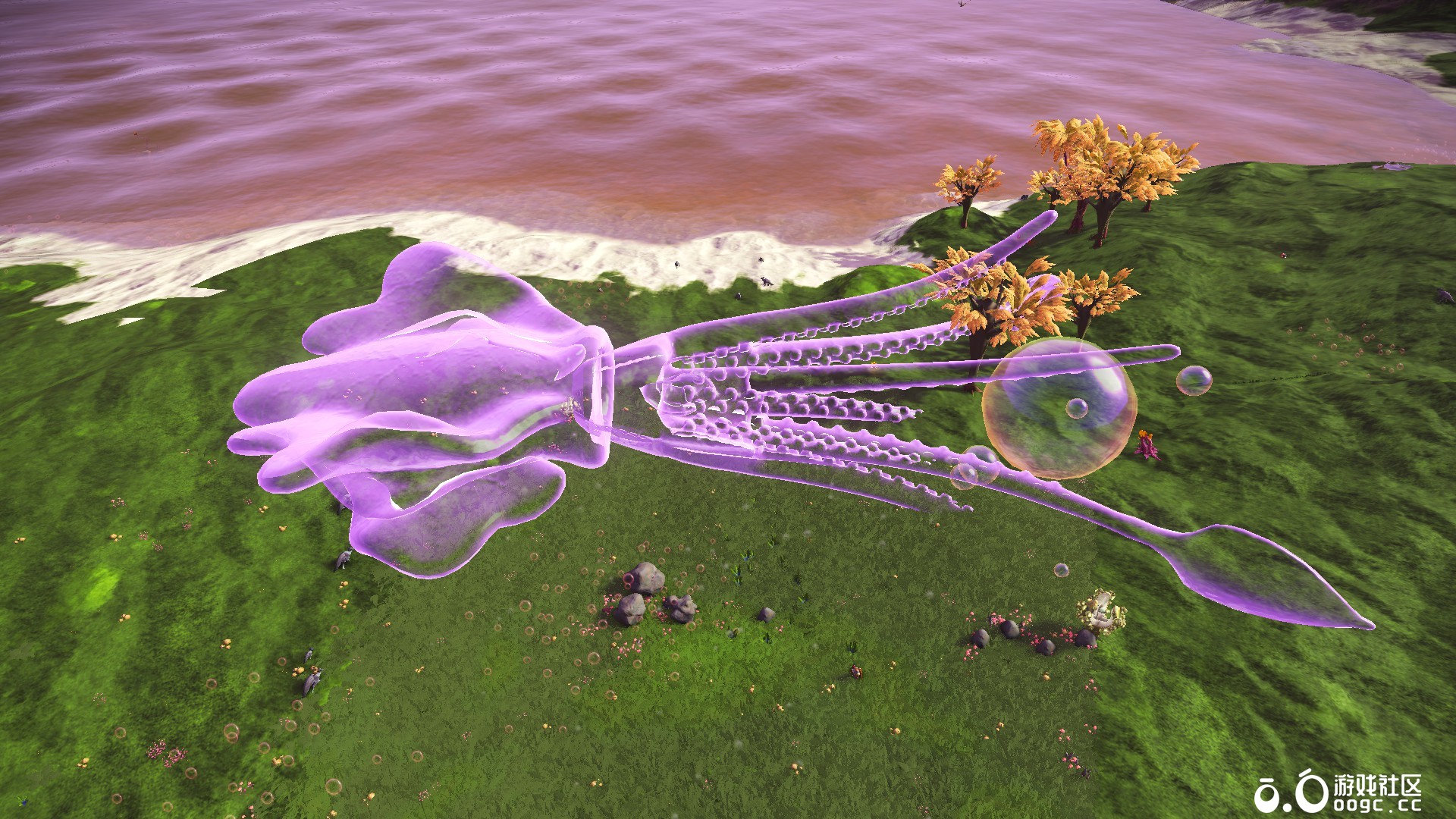 透明发光大鱿鱼-2