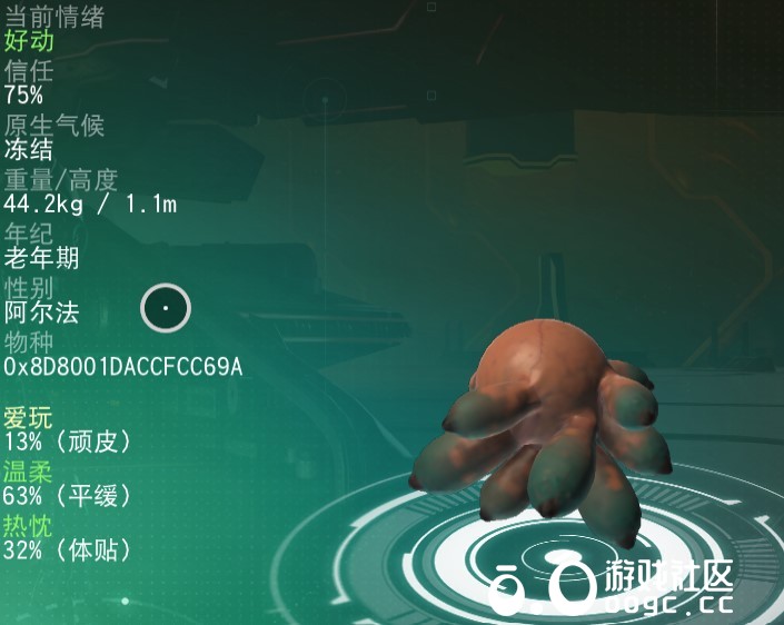 几个特殊宠物-4