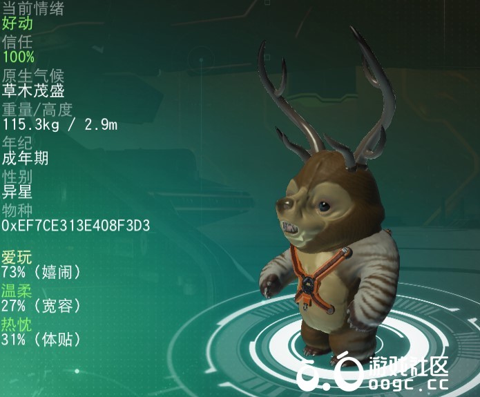 几个特殊宠物-5