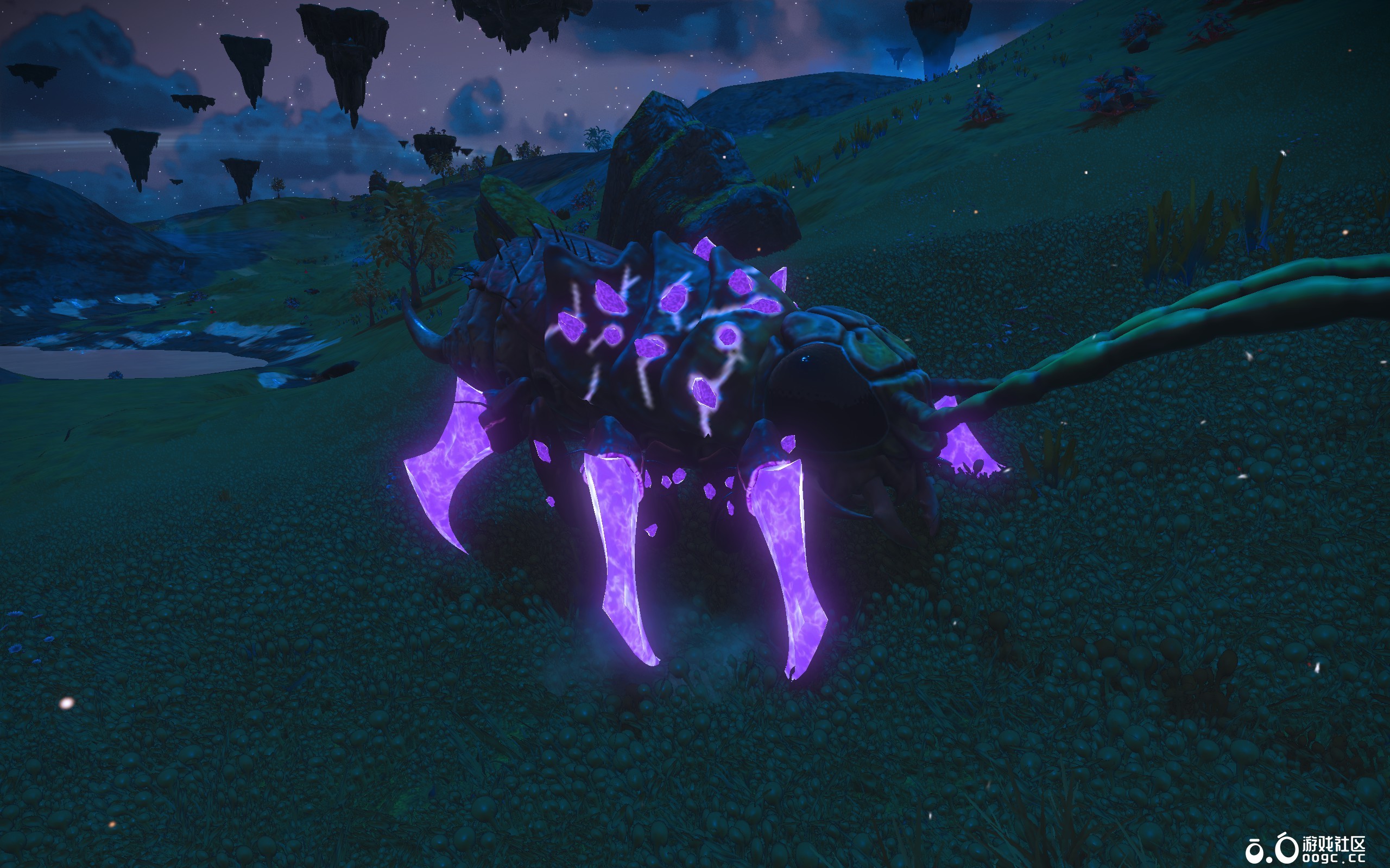 发光腿大虫子-2