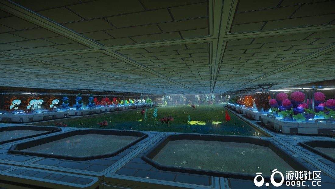 拥有金库和车库的城堡，拎包即可入住。-13