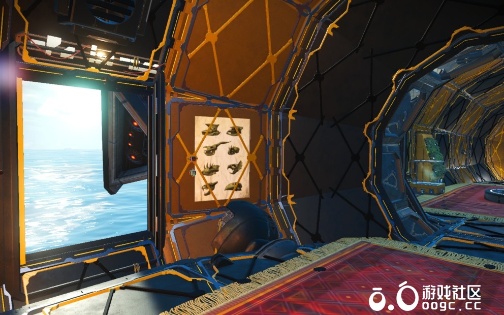 是蝇是蜂我说了算-5