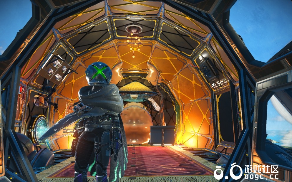 是蝇是蜂我说了算-4