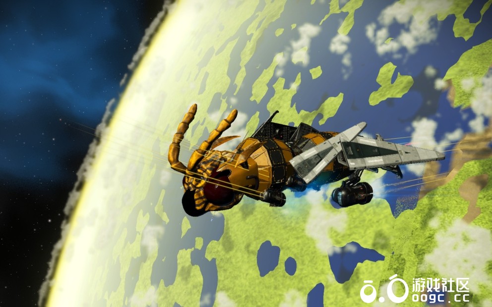 是蝇是蜂我说了算-2