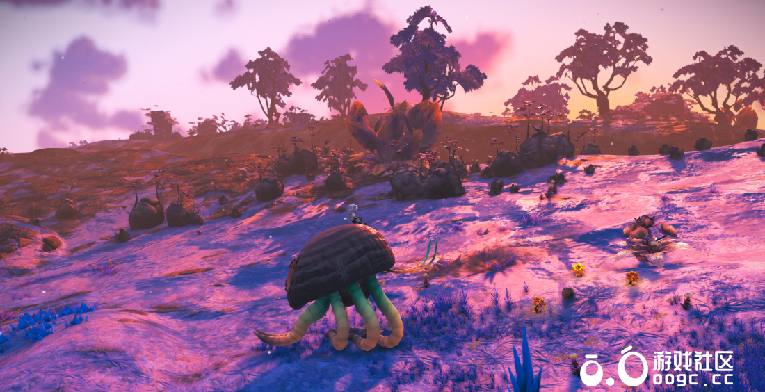 似蜗牛大骑宠-1